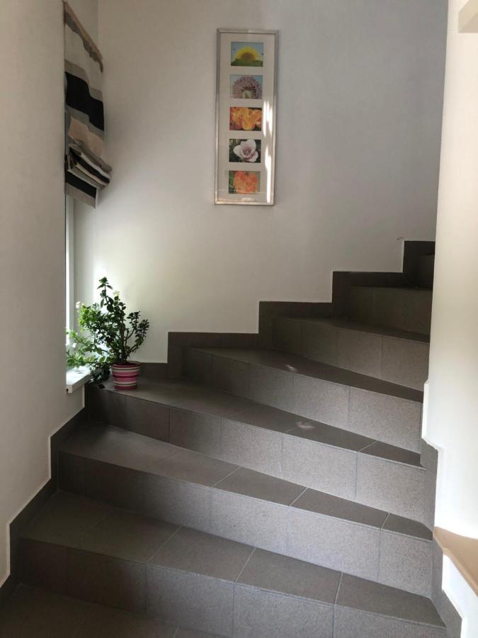 Dominik Apartmanhaz Velence Dış mekan fotoğraf